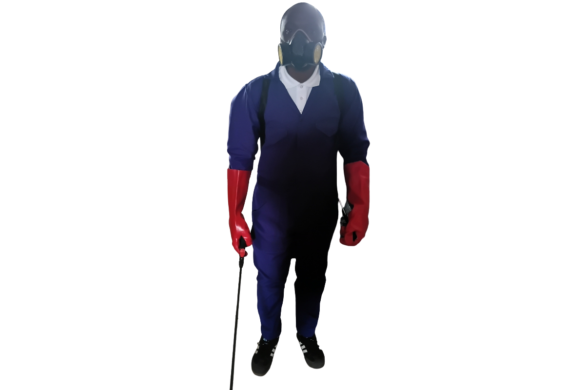 mice control treatment process